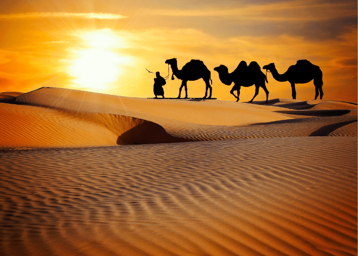 Rajasthan Tour Package